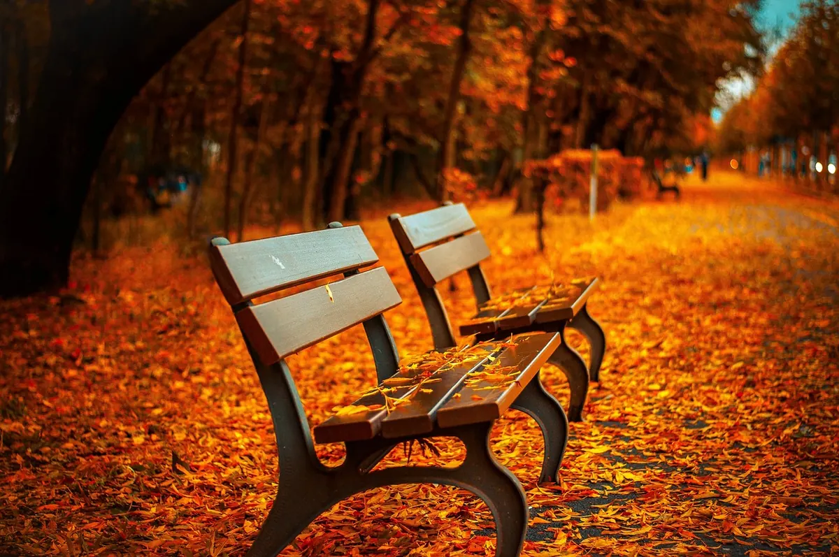 Seasonal Riverside Garden Checklist: Preparing Your Seating for Spring Floods